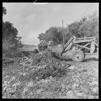 16810-Thumbnail Image.jpg