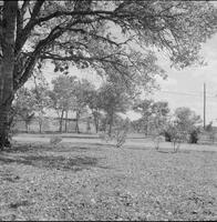 17466-Thumbnail Image.jpg