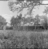 17469-Thumbnail Image.jpg