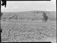 17617-Thumbnail Image.jpg