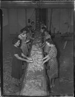 17918-Thumbnail Image.jpg