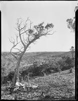 18404-Thumbnail Image.jpg