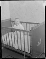 20538-Thumbnail Image.jpg