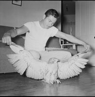 22902-Thumbnail Image.jpg